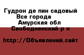 Гудрон де пин садовый - Все города  »    . Амурская обл.,Свободненский р-н